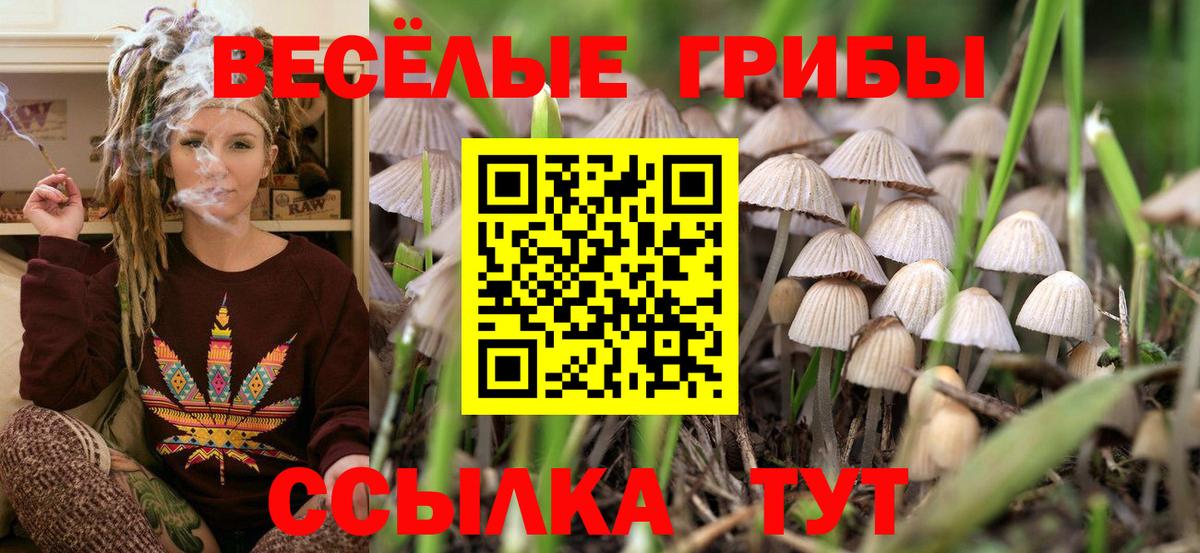 дарнет шоп  Галлюциногенные грибы GOLDEN TEACHER  Галлюциногенные грибы прущие грибы  Вход с VPN  Баксан 
