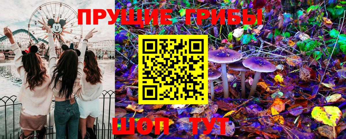 Псилоцибиновые грибы Psilocybine cubensis Баксан